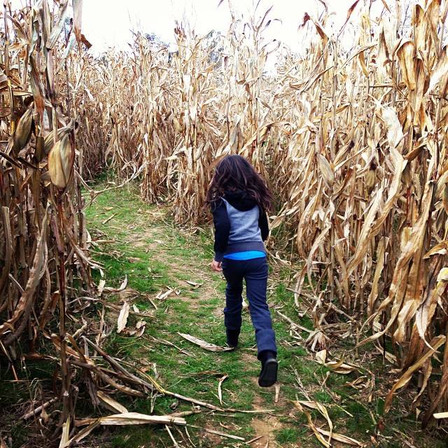 Delaware corn mazes