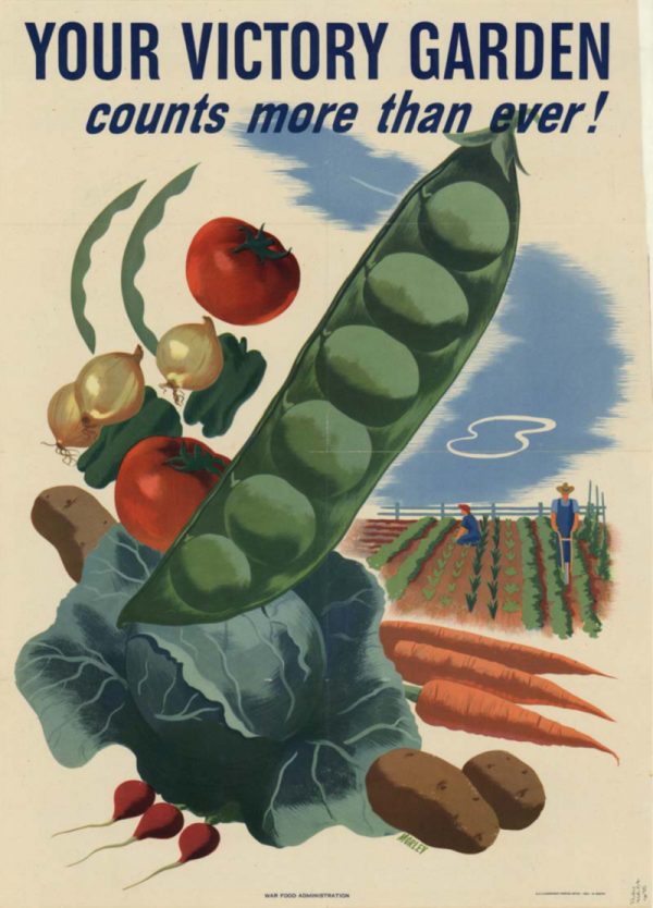 your victory garden counts more than ever