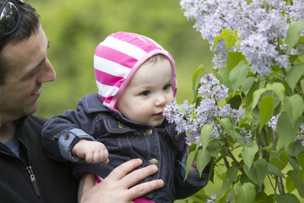 Rochester Lilac Festival